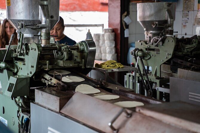 Market Visit and Mexican Cooking Class - Who Will Love This Tour?