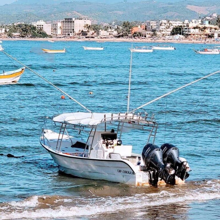 Marlin fishing in guayabitos - Who Will Enjoy This Tour?