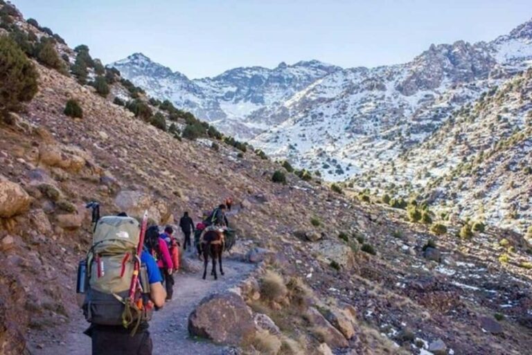 Marrakech: 2 Day Trek High Atlas Mountains & Berber Villages - What’s Included and What to Keep in Mind
