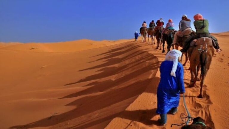 Marrakech: 3-Day Private Sahara Tour to Fez via Merzouga - Whats Included and Whats Not