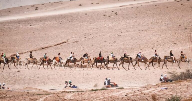 Marrakech: Agafay Ds Sunset with Dinner, Show & Tuareg Music - Frequently Asked Questions