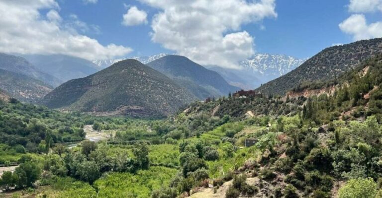 Marrakech: Atlas Mountains, Agafay Desert, Waterfall & Lunch - The Transportation and Group Dynamics