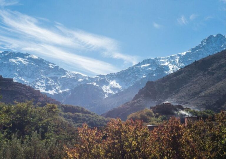 Marrakech: Atlas Mountains and Agafay Desert Trip with Lunch - What Travelers Love About This Tour
