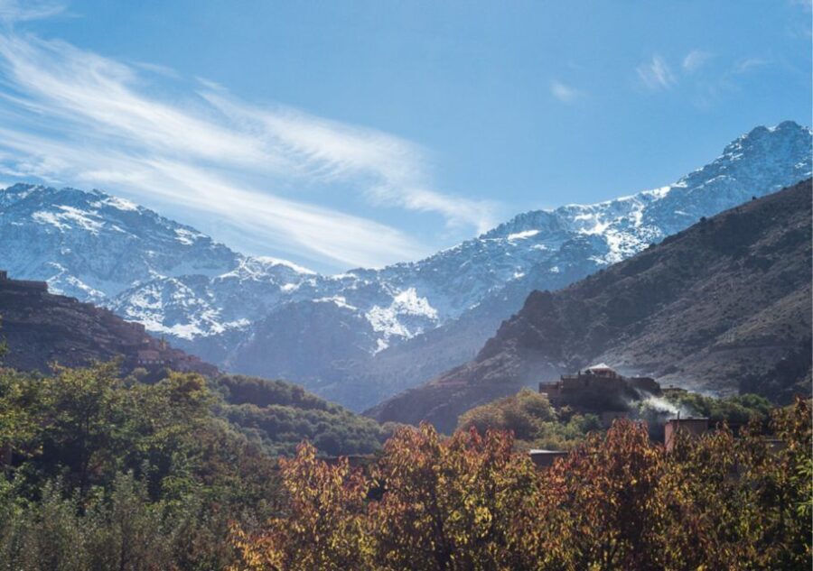 Marrakech: Atlas Mountains and Agafay Desert Trip with Lunch - What Travelers Love About This Tour