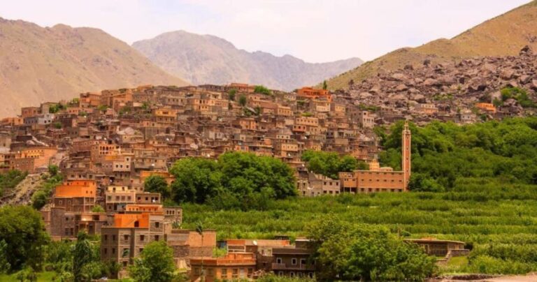 Marrakech: Atlas Mountains & Valleys Waterfall Hike w/ Lunch - What Makes This Tour Stand Out?