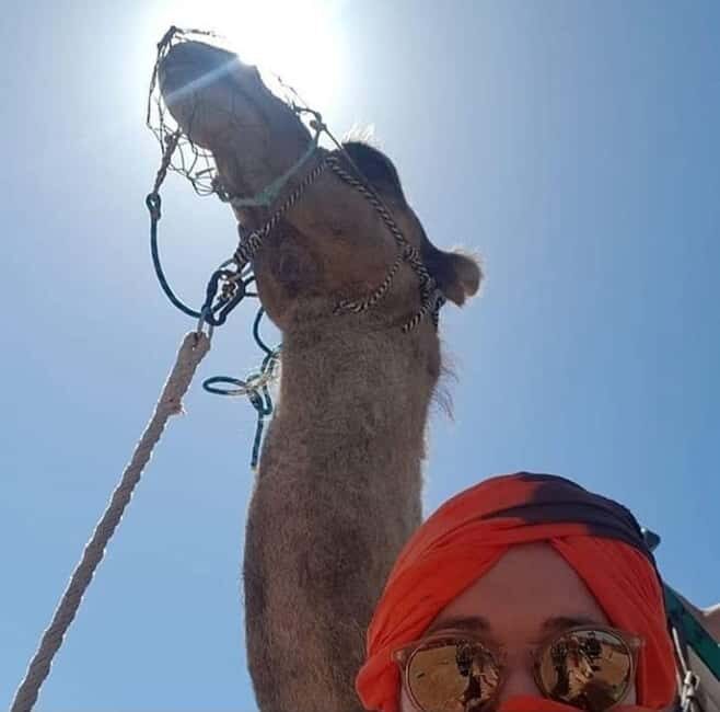 Marrakech: buggy ATV Palmeraie Tour with Tea break - Who Should Consider This Tour?