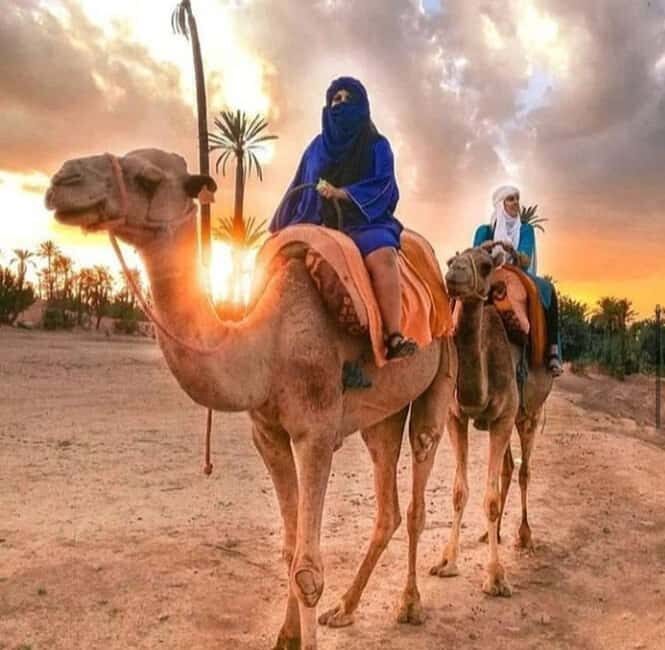 Marrakech: buggy Palmeraie Tour Camel Ride with Tea break - The Thrill of the Buggy or ATV Ride