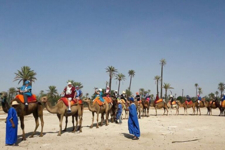 Marrakech: Camel Trek - Who Will Love This Tour?