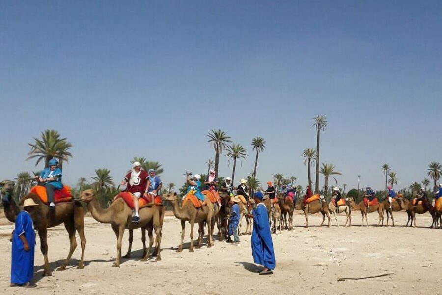 Marrakech: Camel Trek - Who Will Love This Tour?