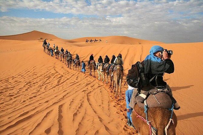 Marrakech Desert: Camel Ride, Quad Biking & Dinner Show Options - Detailed Review of the Marrakech Desert Tour