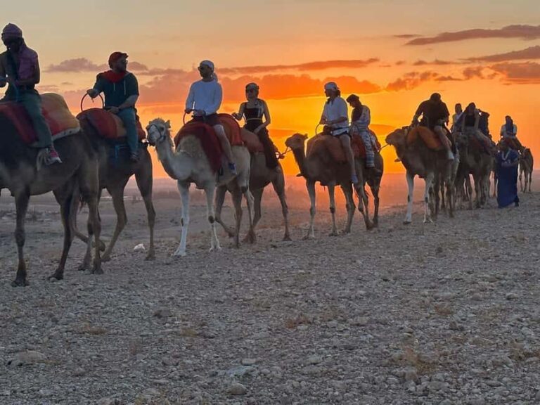Marrakech: Desert Tour with Dinner, Show and Camel Ride - What’s Included and What’s Not