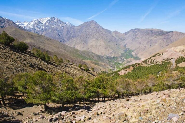 Marrakech: Imlil Valley Day Trip in the Atlas Mountains - Assessing the Value