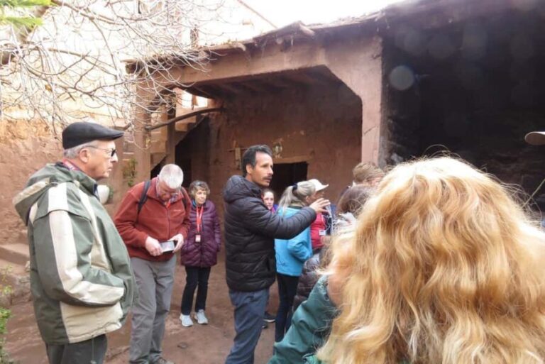 Marrakech: Ourika Valley, Atlas Mountains, Waterfall & Lunch - Transportation, Timing, and Group Dynamics