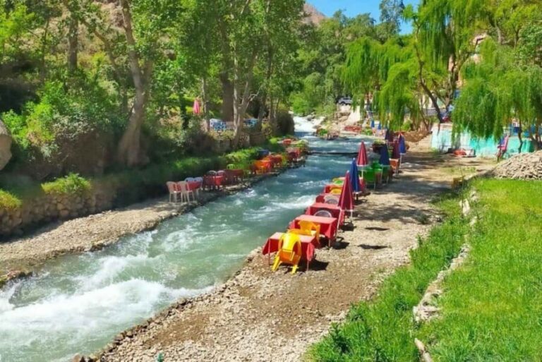Marrakech: ourika valley Atlas Mountains & Waterfalls Trip - Practical Details & Value