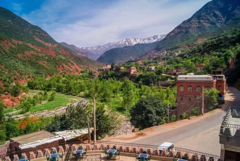 Marrakech: Ourika Valley Day Trip with Berber Village - Authentic Experiences and Genuine Value