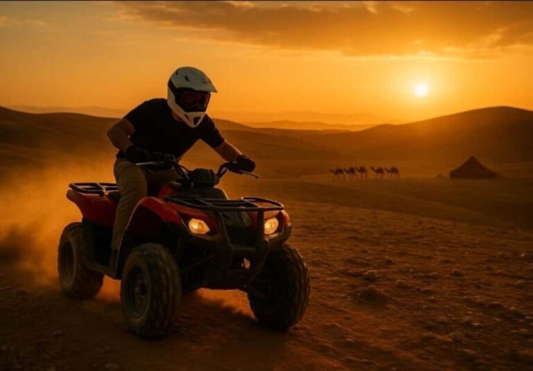 Marrakech: Quad Bike, Camel Ride, Sunset, Dinner with Show - The Experience in Context: What It Means for You