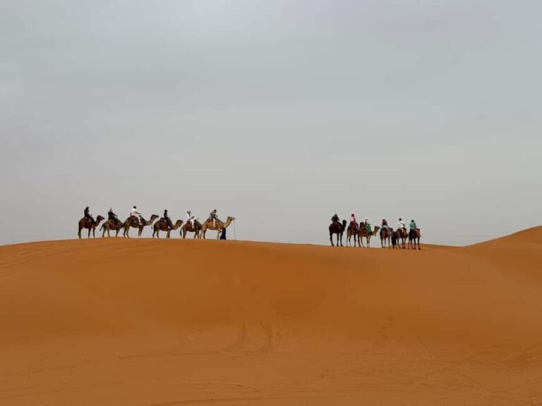 Marrakech to Fes 3 day Desert Tour Camel & luxury Tente - What Makes This Tour Stand Out?