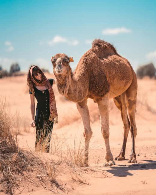 Marrakech To Fes: 3-day Merzouga Desert, Luxury Privat Tent - Into the Heart of the Sahara
