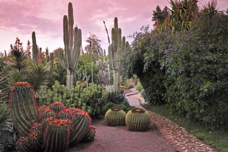 Marrakech Tour Gardens Majorelle, Menara & Anima Gardens - Key Points