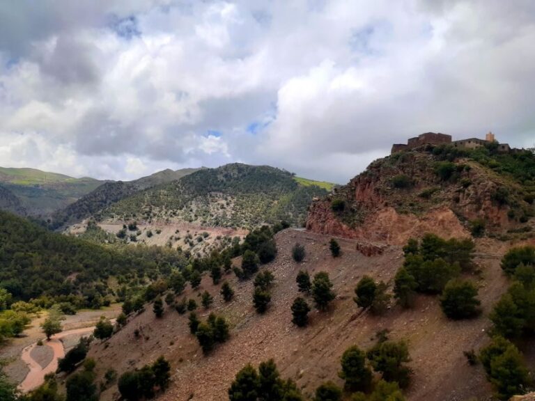 Marrakech:Atlas Mountains day trip,Camel Ride & Berber Lunch - The Value of This Tour