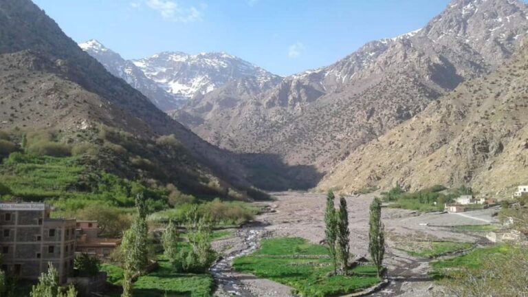 Marrakesh: 2-Day Mt. Toubkal Trek with 1-Night Stay & Meals - Authenticity, Value, and Overall Impression