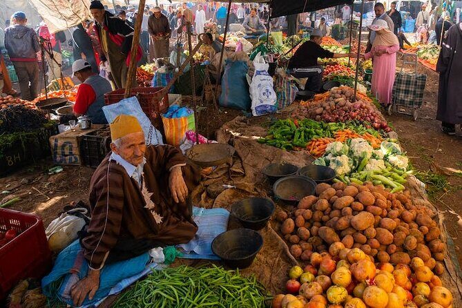 Marrakesh: Atlas Mountains, Imlil Valley & Waterfalls Tour - What Makes This Tour Stand Out?