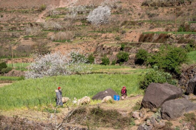 Marrakesh: Berber Villages, Atlas & Green Valleys 4-Day Trek - Why This Tour Offers Good Value
