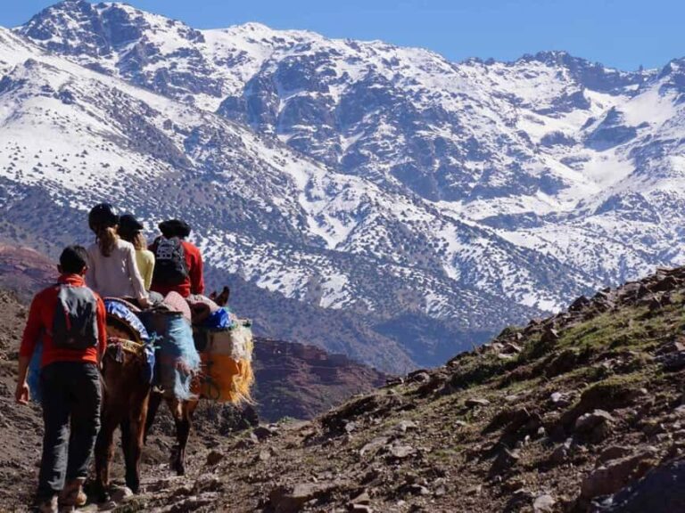 Marrkech: full day hike in atlas mountain & (lunche guide ) - FAQs