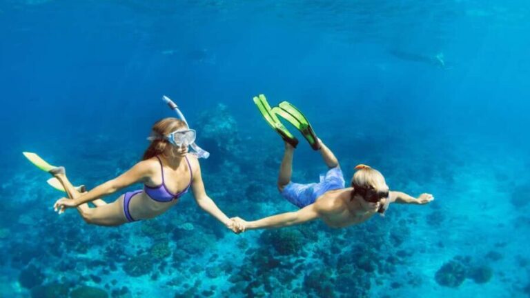 Marsa Alam: Dolphin House Adventure at Shaab Samadai Reef - Who Should Consider This Tour?
