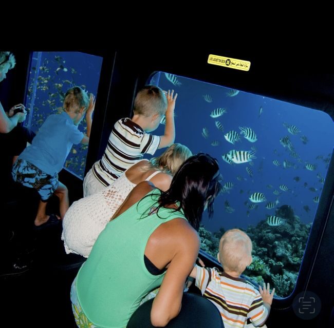 Marsa Alam: Nefertari Cruise with Snorkeling & Lunch/dinner - Who Is This Tour Best For?