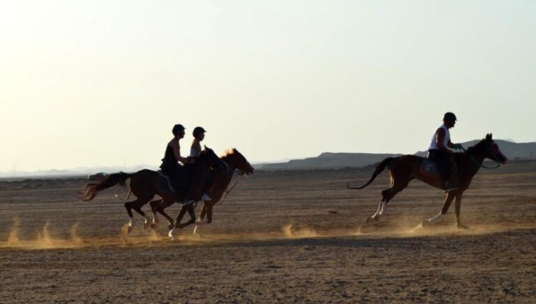 Marsa Alam: Sea and Desert Horse Riding Tour - What to Expect