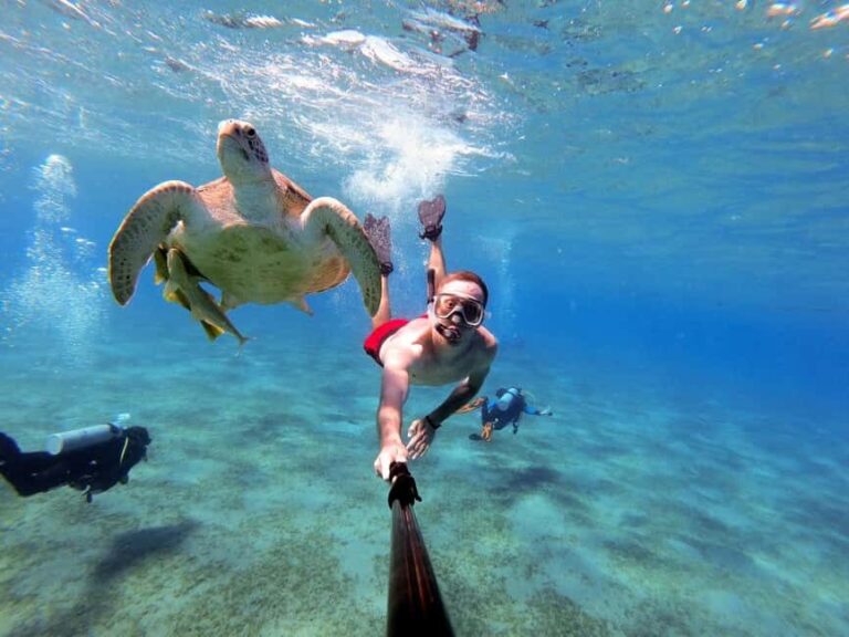 Marsa Alam: Snorkeling with Sea Turtles Marsa Mubarak - What Could Be Improved?