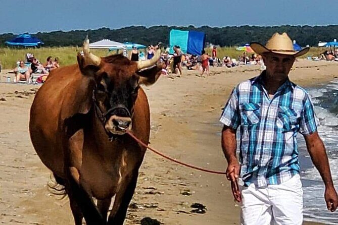 Martha Vineyard Bus Tour - In-Depth Look at the Itinerary
