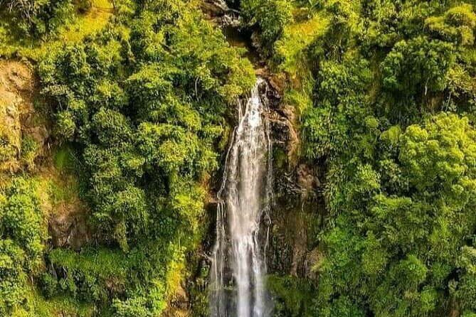 Materuni Waterfall Coffee Tour and Chemka Hot Springs Experience - Who Should Consider This Tour?