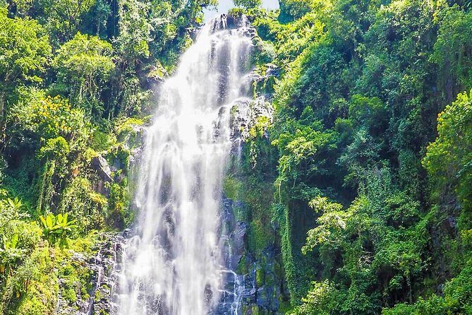 Materuni Waterfalls & Coffee Tour from Moshi - Why This Tour Offers Great Value