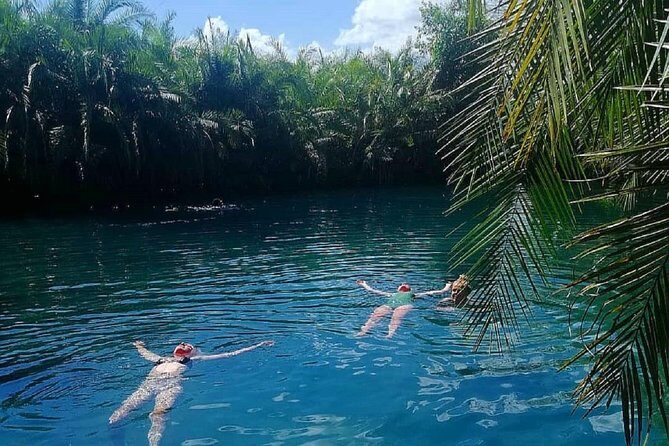 Materuni Waterfalls, coffee tour & Kikuletwa Hot Springs - Who Should Consider This Tour?