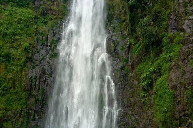 Materuni Waterfalls, Kikuletwa Chemka Hot springs, Coffee tour - Final Thoughts