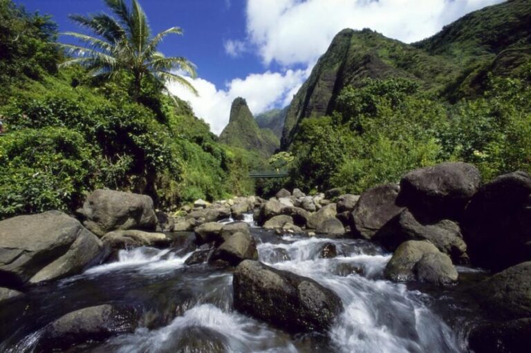 Maui: Custom Elite Tour with Escalade & Meals - Traveling in Style: The Cadillac Escalade