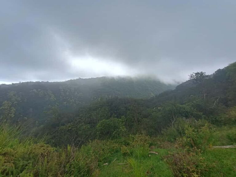Maui: East Side Hiking Tour - Who Should Consider This Tour?