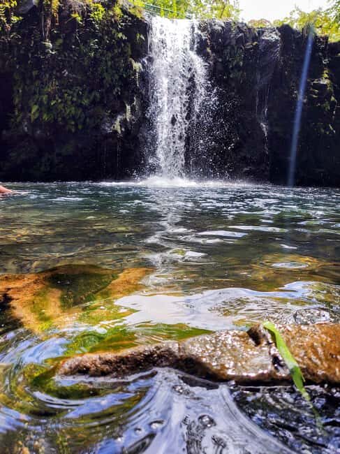 Maui: Halfway to Hana Black Sand Beach & Turtles Tour - The Experience