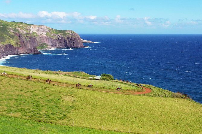 Maui Horseback Adventure at Circle M Ranch With Real Cowboys - Who Should Consider This Tour?