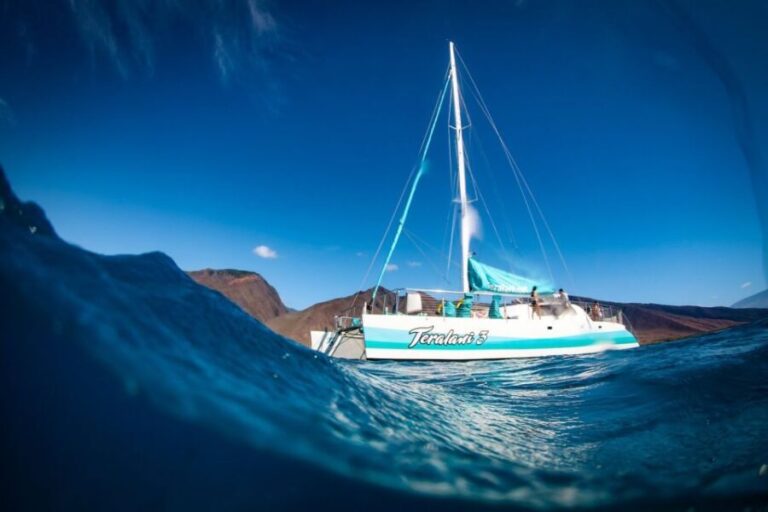 Maui: Kaanapali Dolphin Watching Boat Trip with Lunch - Why It’s a Good Choice for Your Trip