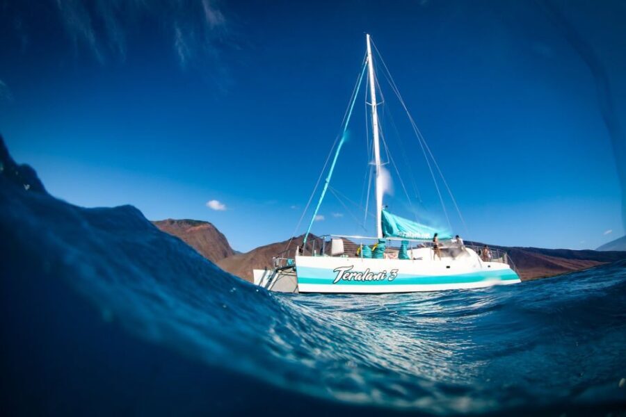 Maui: Kaanapali Dolphin Watching Boat Trip with Lunch