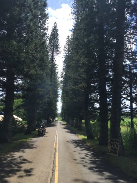 Maui : Private : Road to Hana Day Trip : Just For Your Group - Real Travelers Perspectives