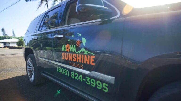 Maui: Private Road to Hana Rainforest and Waterfall Tour - The Pricing and Value