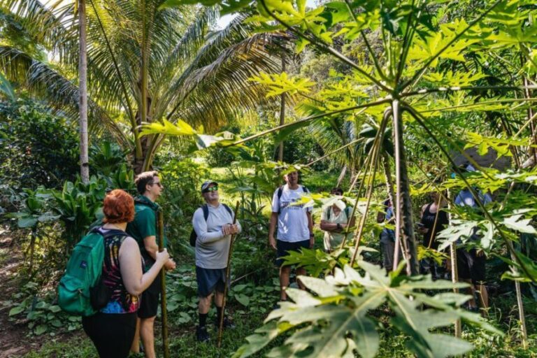 Maui: Rainforest Waterfalls Guided Hike with Picnic Lunch - Authentic Experiences and Real Feedback