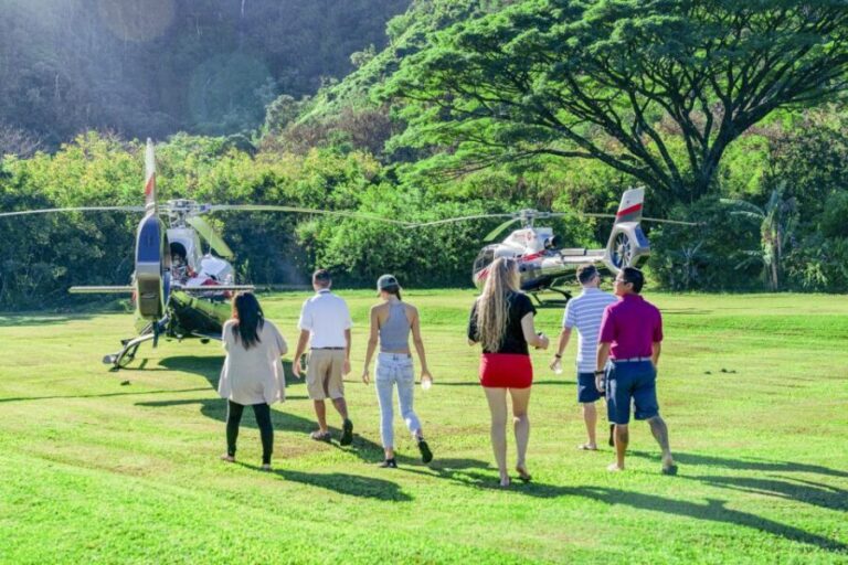 Maui: Road to Hana Helicopter & Waterfall Tour with Landing - Analyzing the Value