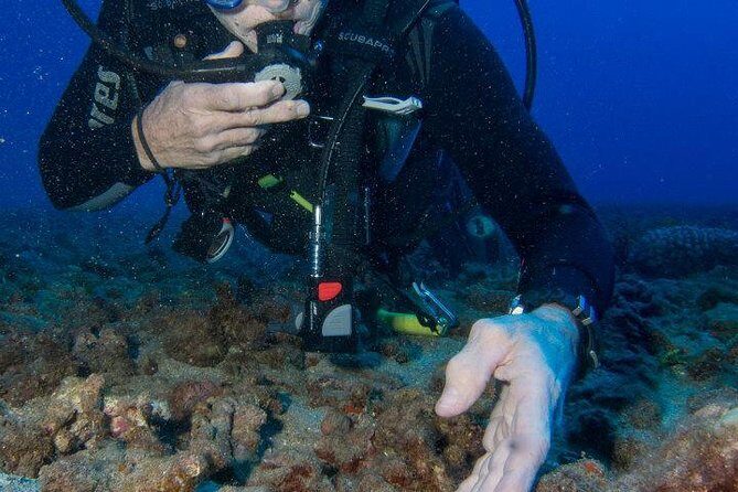 Maui Scuba Diving Introductory Lesson from Lahaina - What to Expect: From Shore to Reef