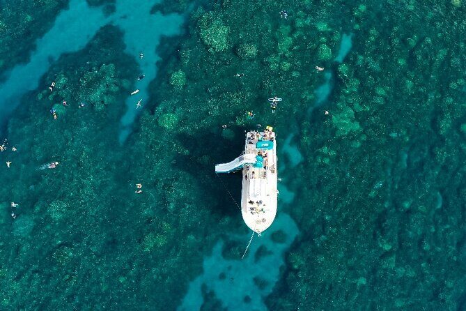 Maui Snorkel & Slide - The Marine Life and Viewing Opportunities