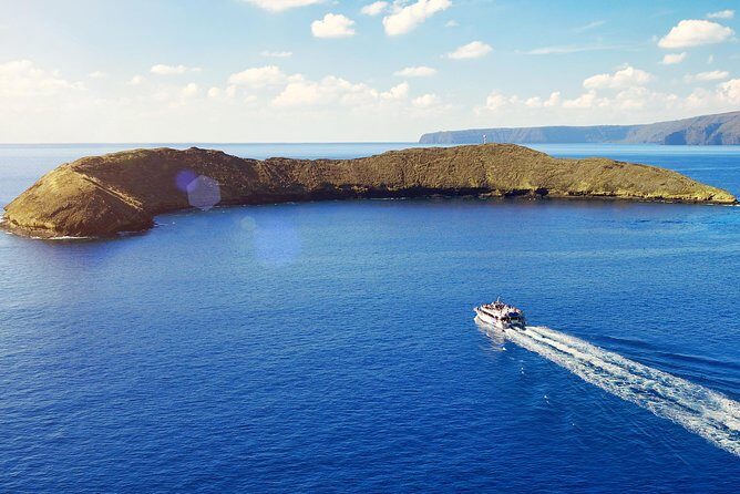 Maui Snorkeling Molokini Crater and Turtle Town - Onboard Experience: Food, Drinks, and Amenities